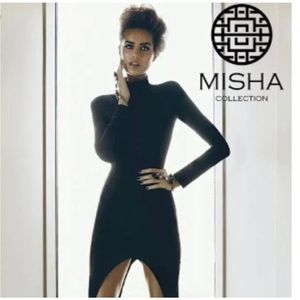Misha Collection Allegra Bodycon Dress